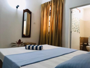 Beach villa Polhena